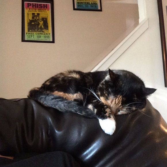 Meet your Posher, Shooter mcgowan - Picture 4 of 4